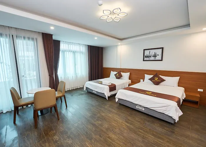 Hotel Swan *