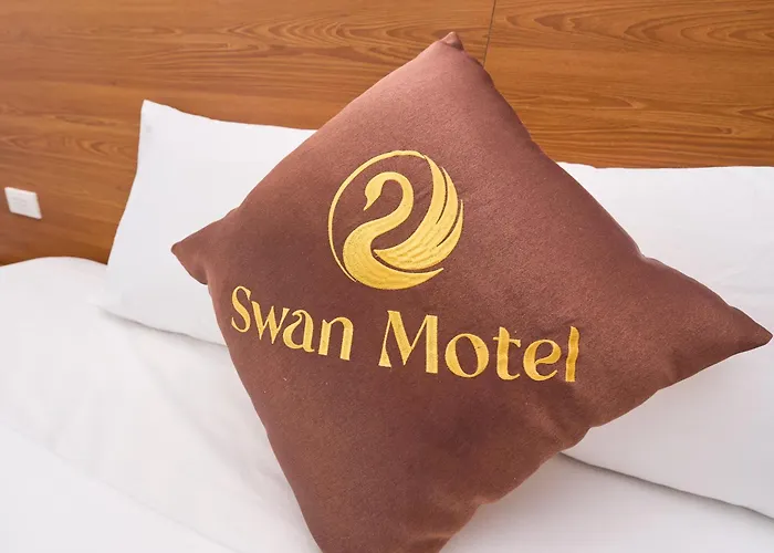Swan * Hạ Long