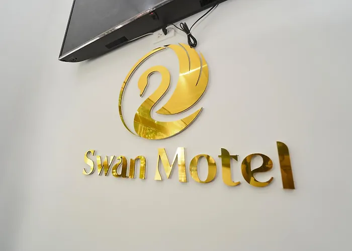 Swan *